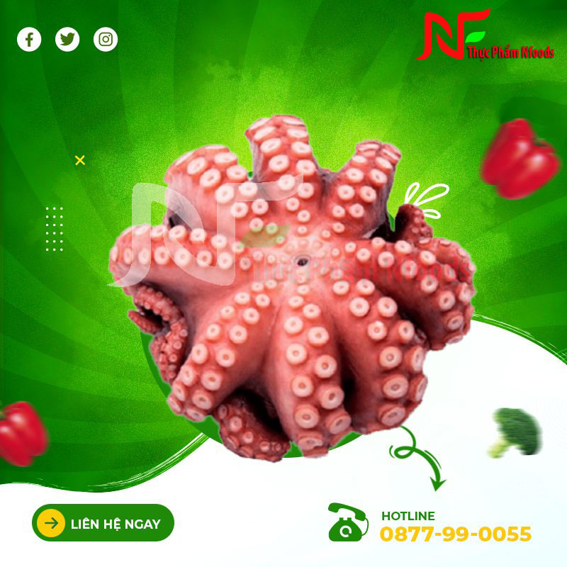 Bạch Tuộc Nhật Nissi