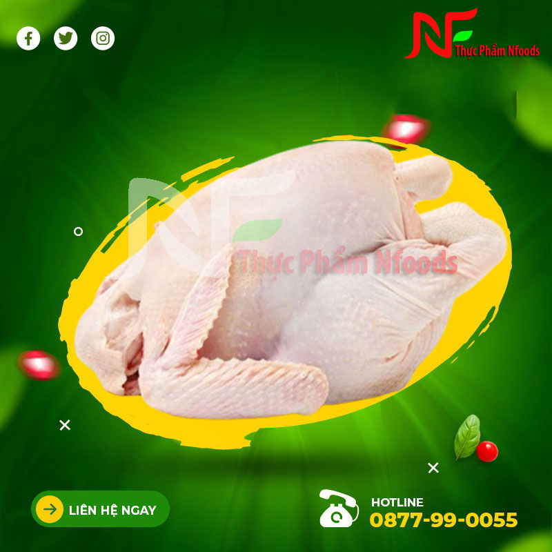 Bọng gà có cánh