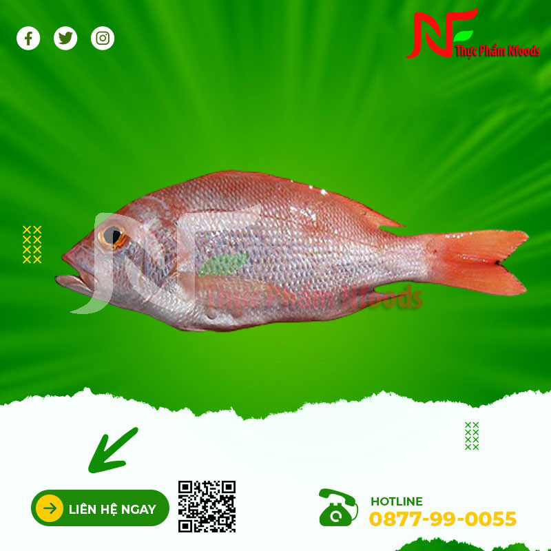 Cá Bã Trầu