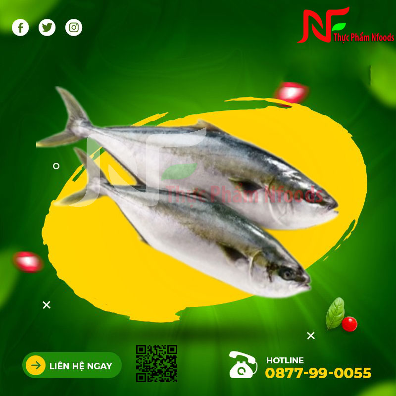 Cá Cam Nhật 500-1000