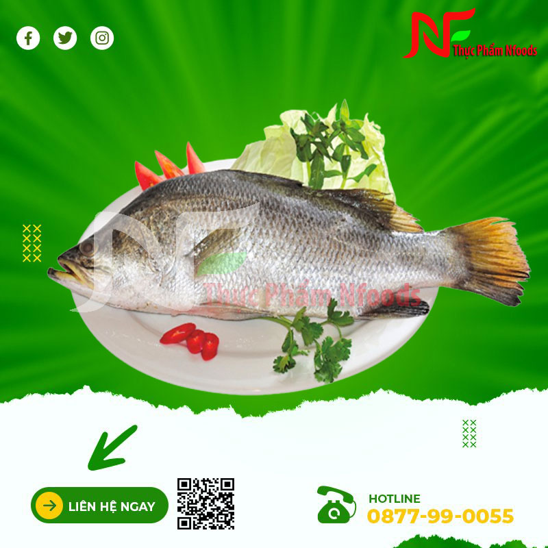 Cá chẽm