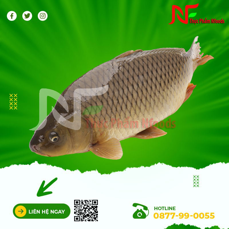 Cá chép giòn