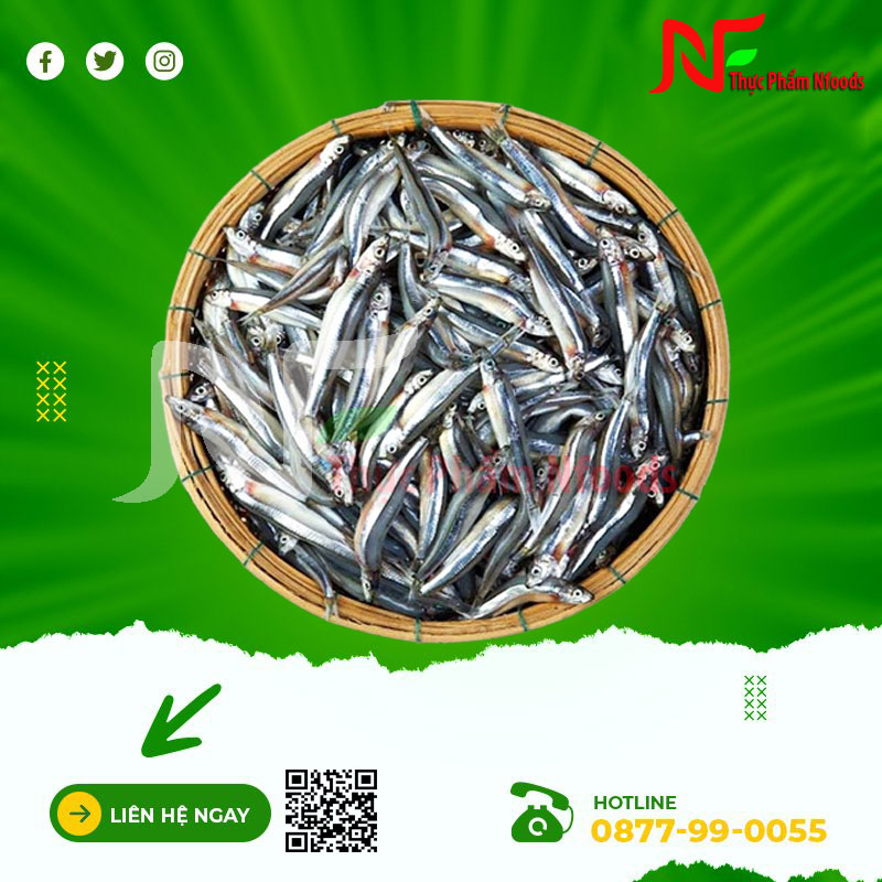 Cá cơm biển
