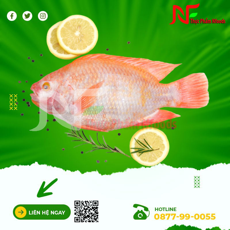 Cá điêu hồng