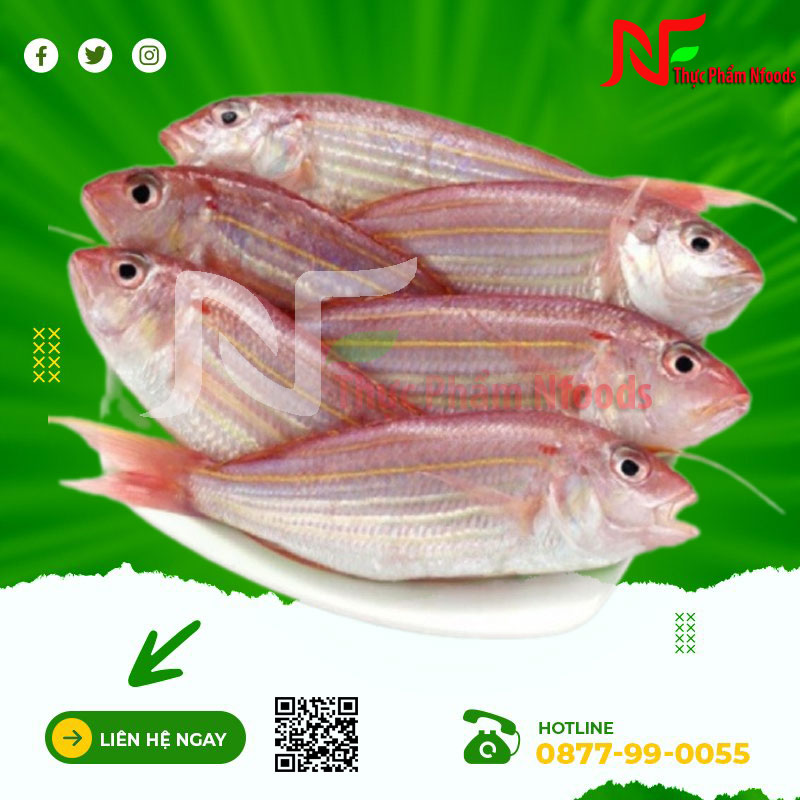 Cá Đổng (Hường)