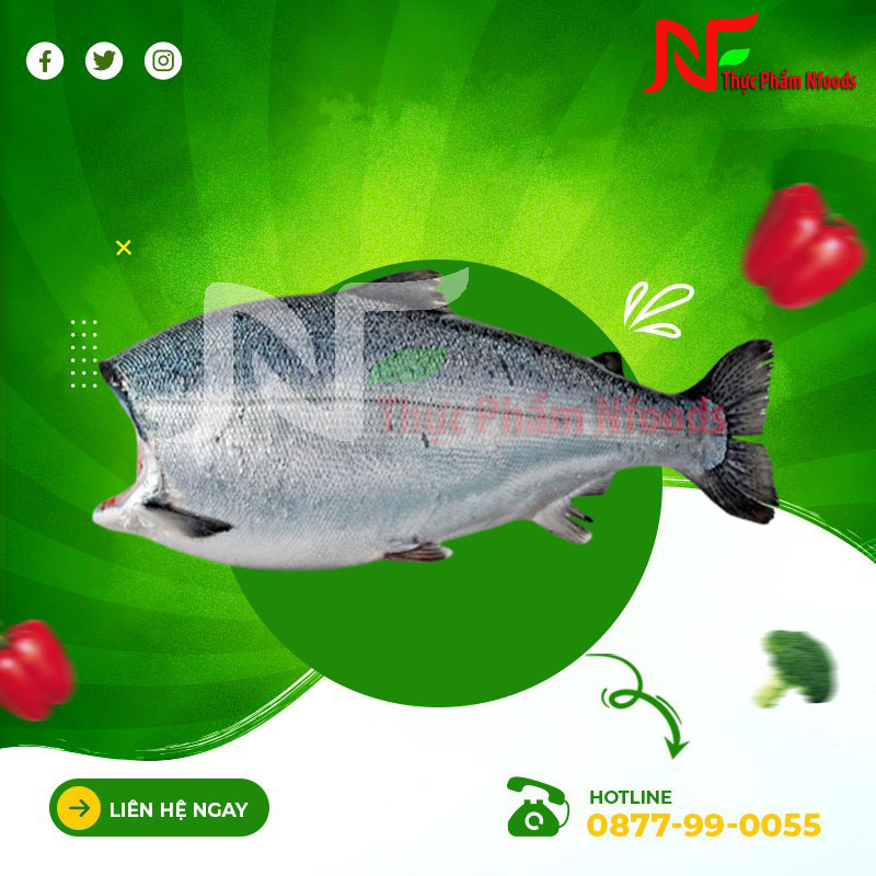 Cá Hồi Chile Nguyên Con (không đầu)