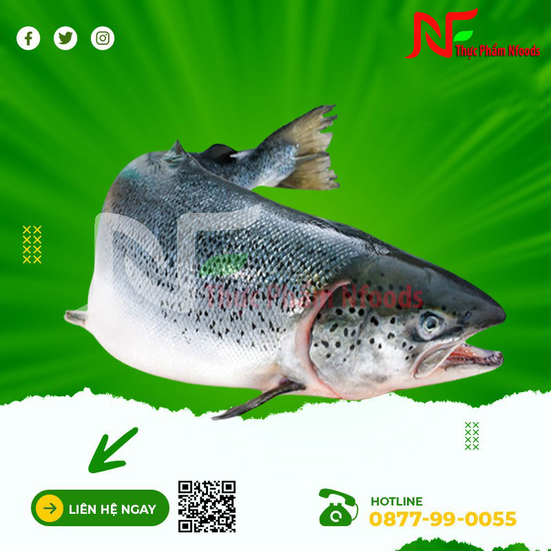Cá Hồi NaUy