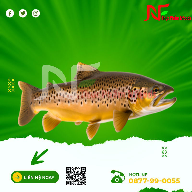 Cá Hồi Sapa