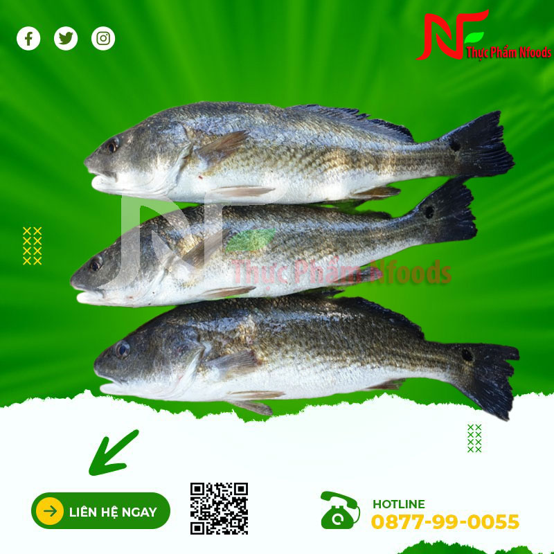 Cá hồng mỹ tươi sống