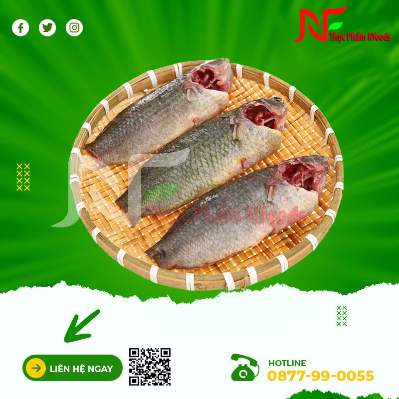 Cá rô đồng