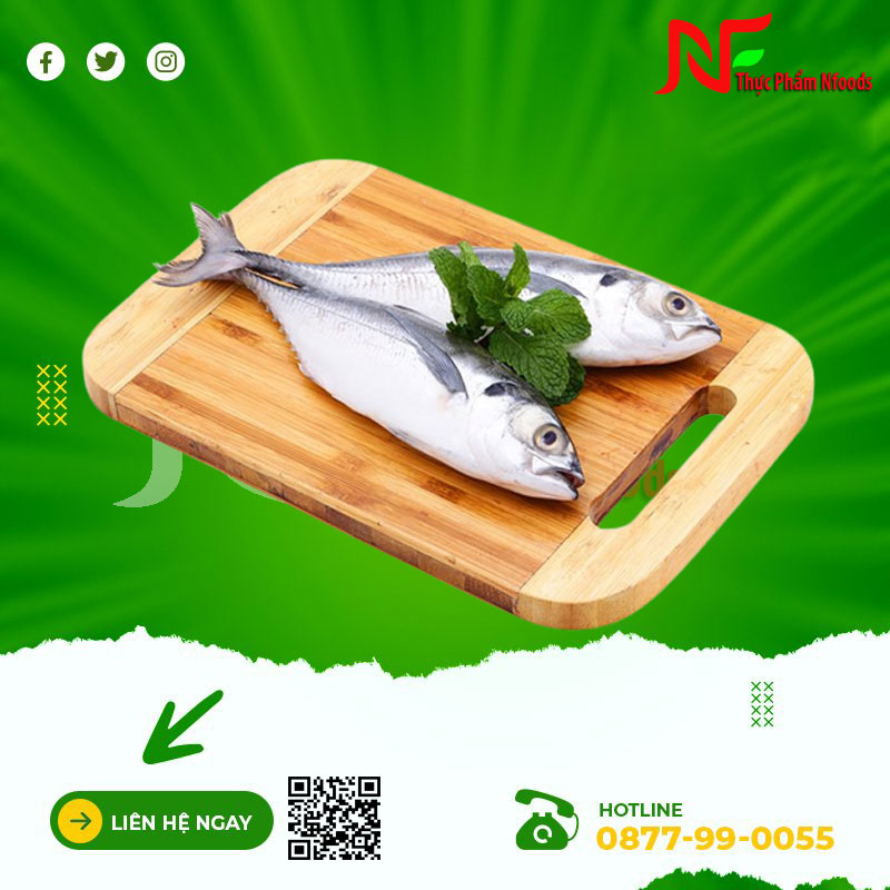 Cá sòng biển