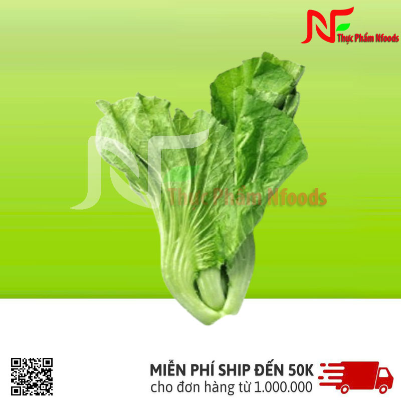 Cải Bẹ Xanh Đà Lạt