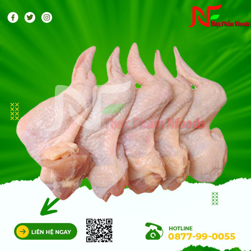 Cánh xếp Aliz Braxin