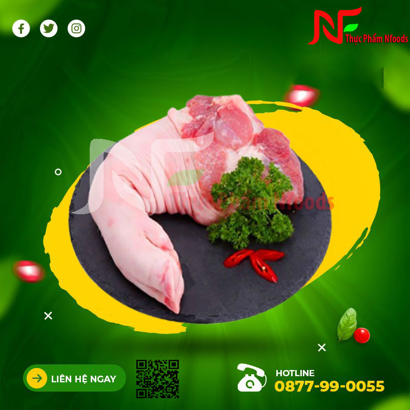 Chân trước Mika
