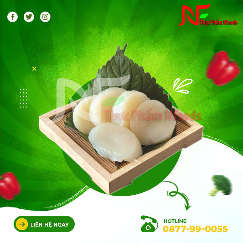 Cồi Sò Điệp Nhật