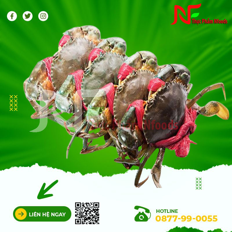 Cua Thịt Cà Mau