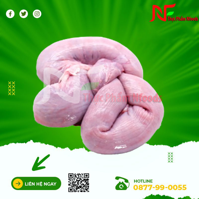Dồi Trường