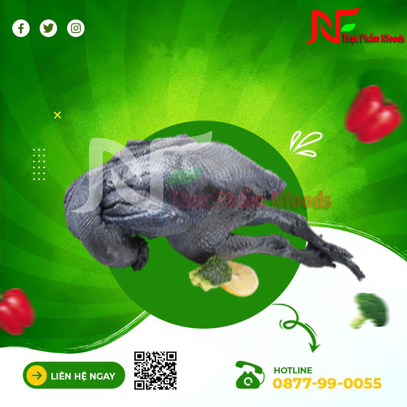 GÀ ÁC LOẠI LỚN