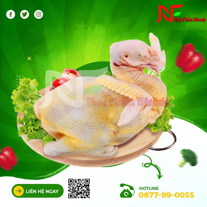 GÀ TA THẢ VƯỜN