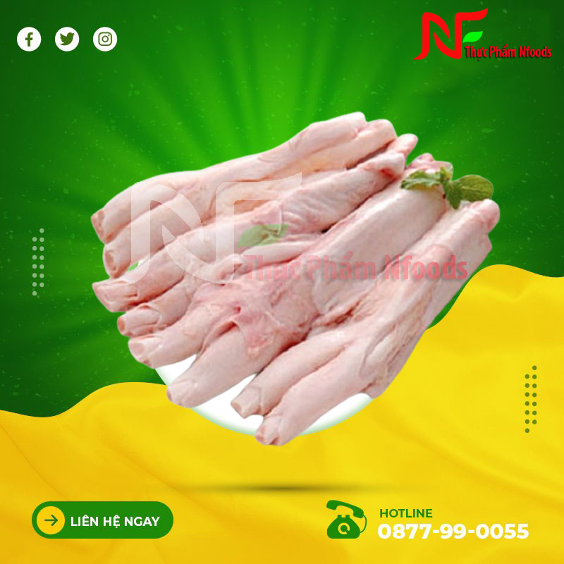 Gân y Ấn Độ M09