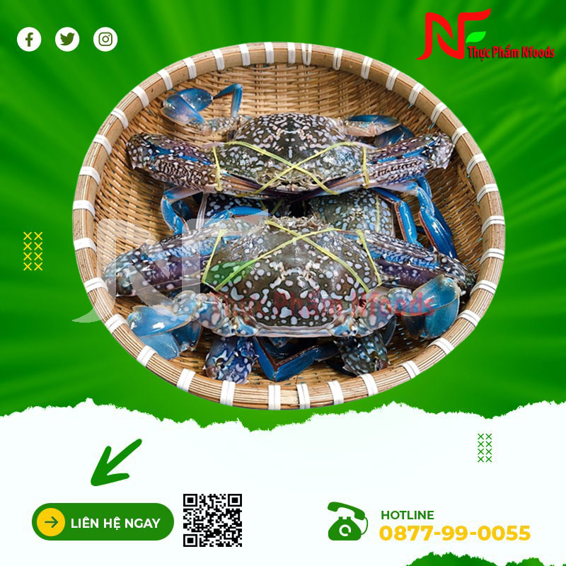 Ghẹ Xanh Sống