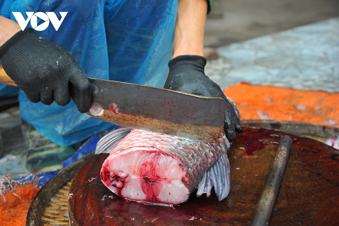 Giá cá Trắm (Đen, Cỏ) bao nhiêu tiền 1Kg hôm nay? Mua ở đâu?