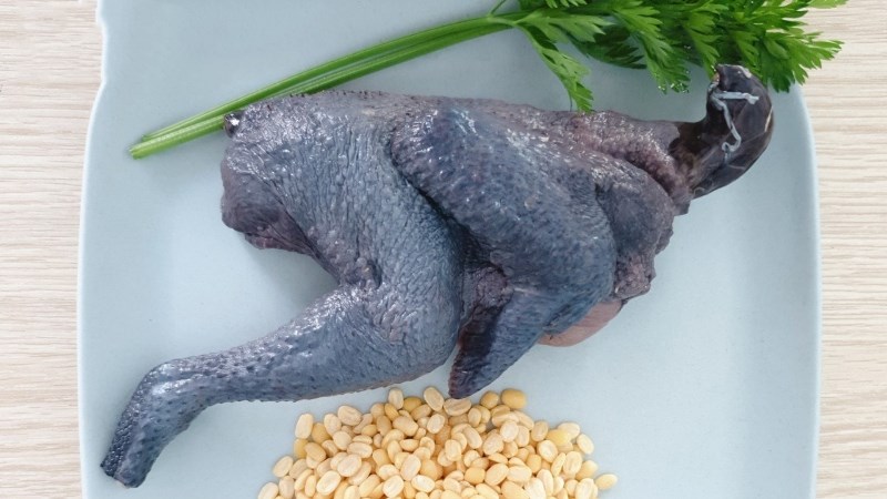 Giá gà ác hôm nay, mua ở đâu ?