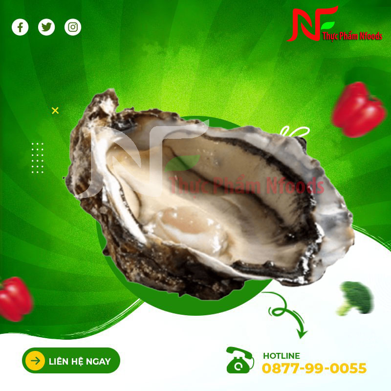 Hàu Hyogo Nhật Bản