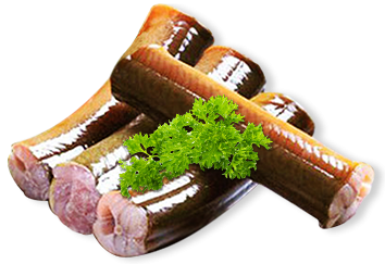 Mua bán lươn giống và thu mua lươn thương phẩm