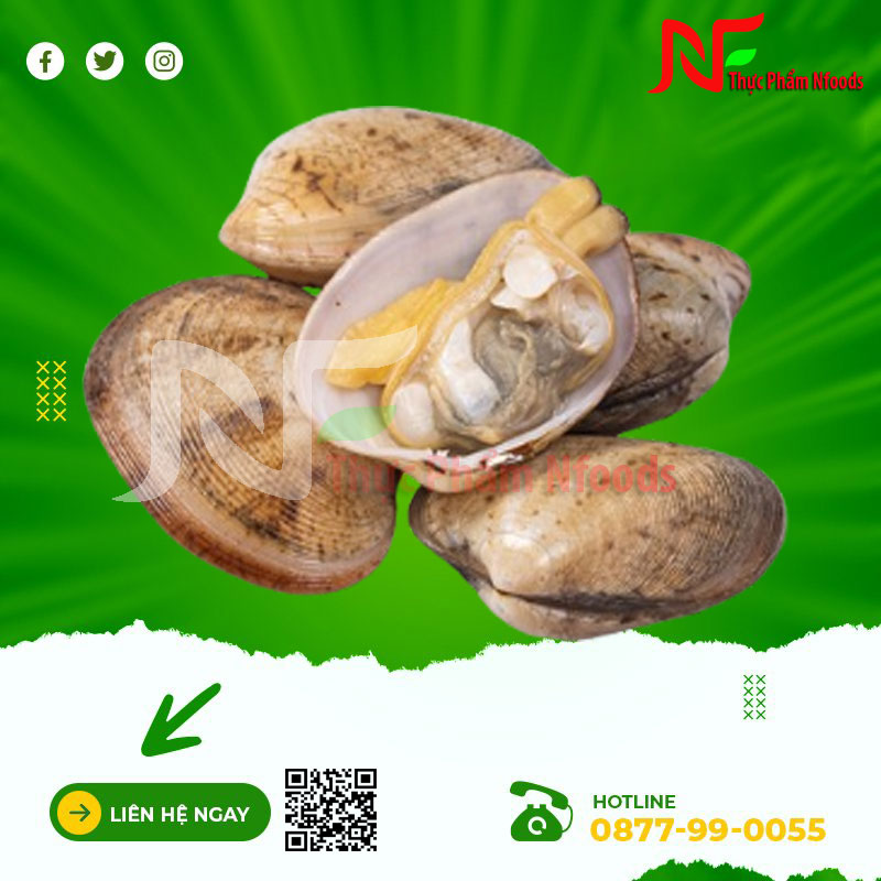 Ngao hai cùi