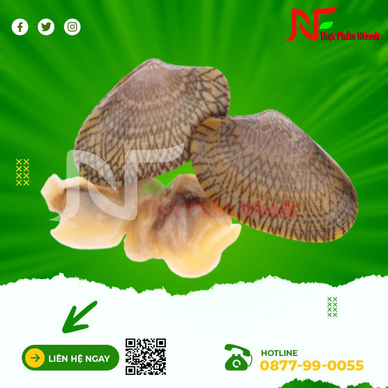 Ngao hoa