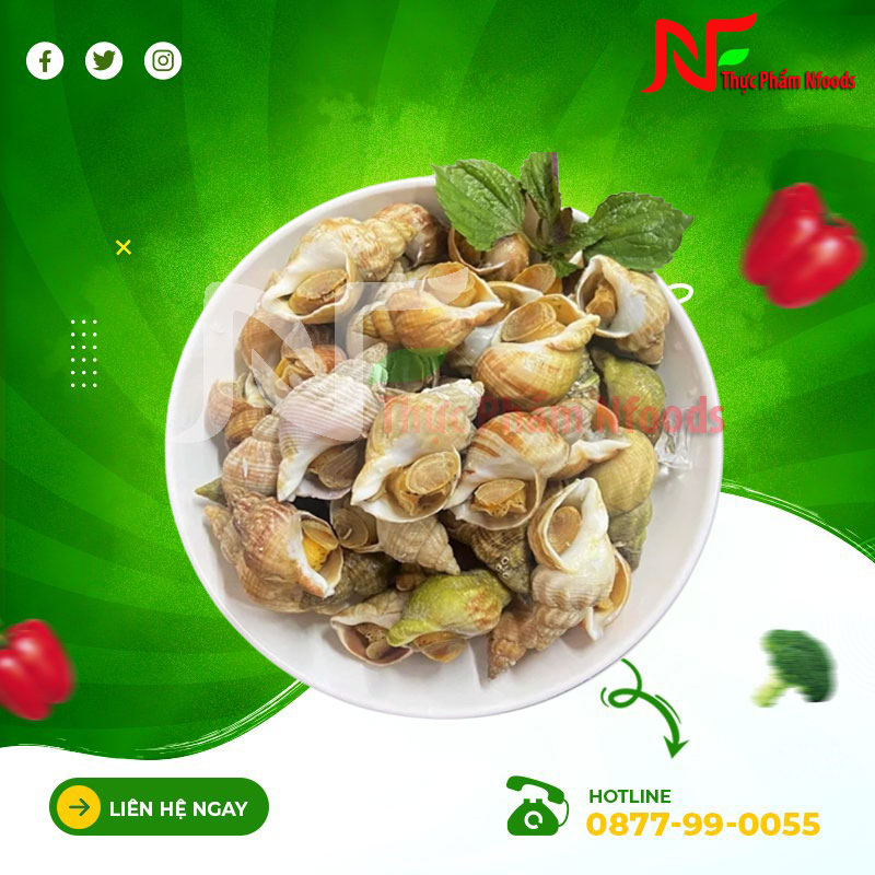 Ốc Bulot Pháp