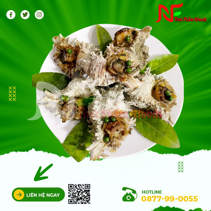 Ốc gai sư tử