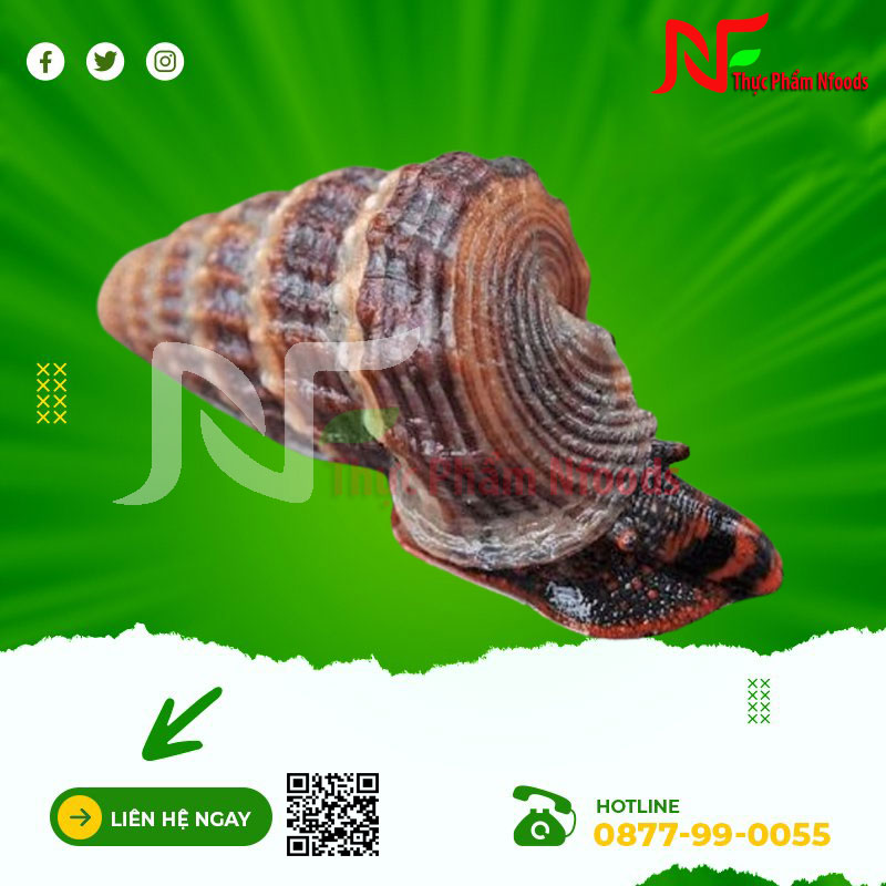 Ốc len