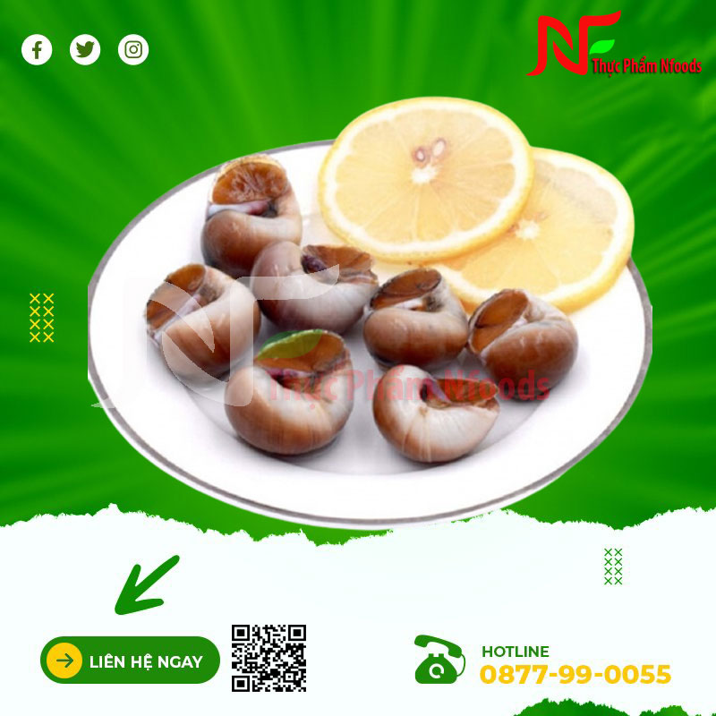 Ốc mỡ
