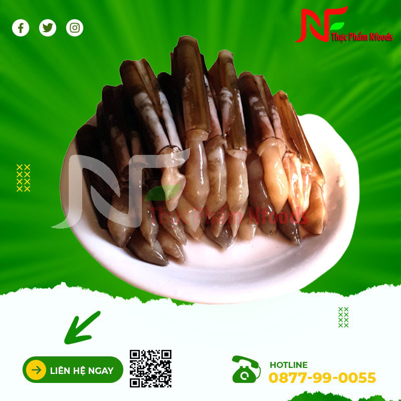 Ốc móng tay