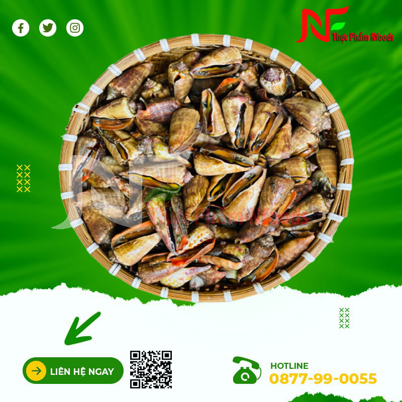 Ốc nhảy đỏ