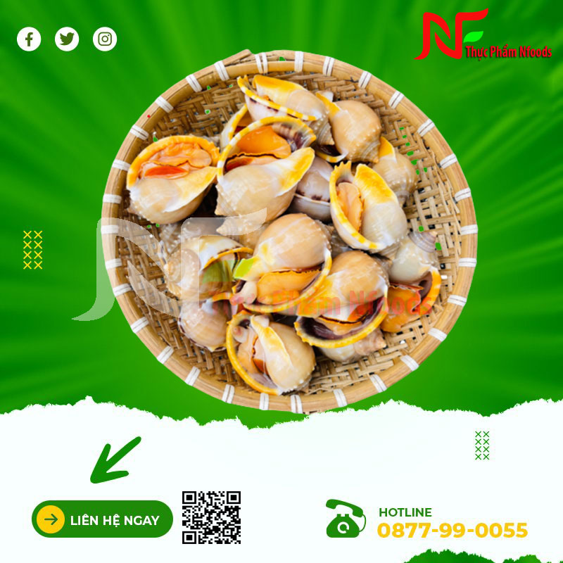 Ốc tỏi