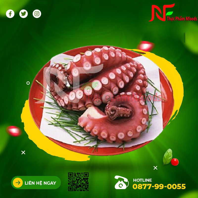 Râu mực đông lạnh