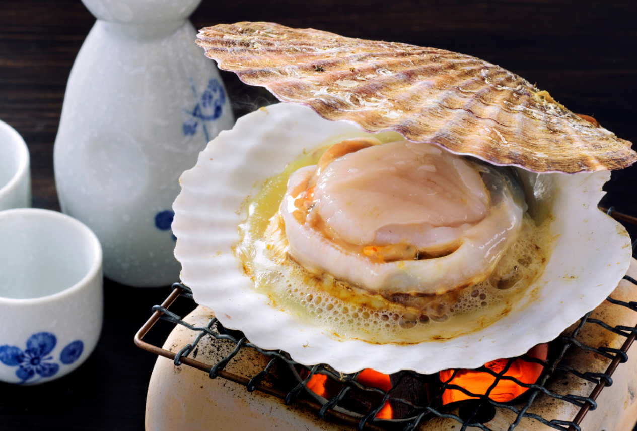 Sò Điệp Nhật Bản