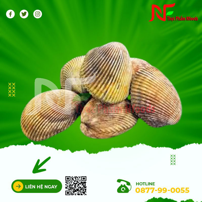 Sò dương