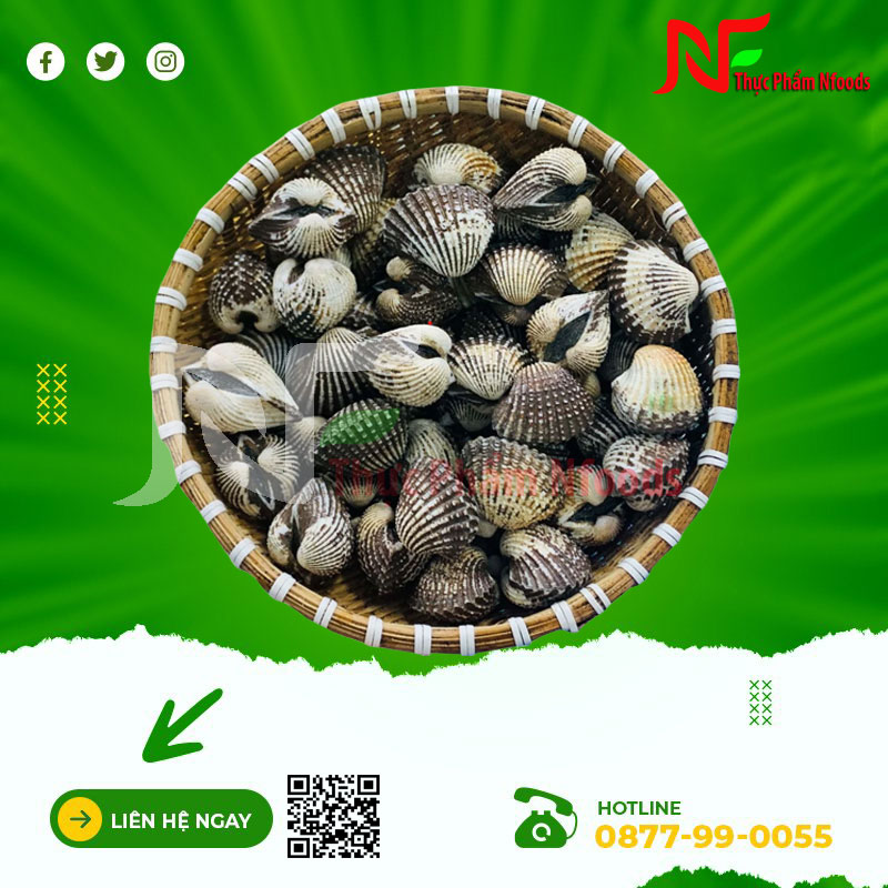 Sò huyết