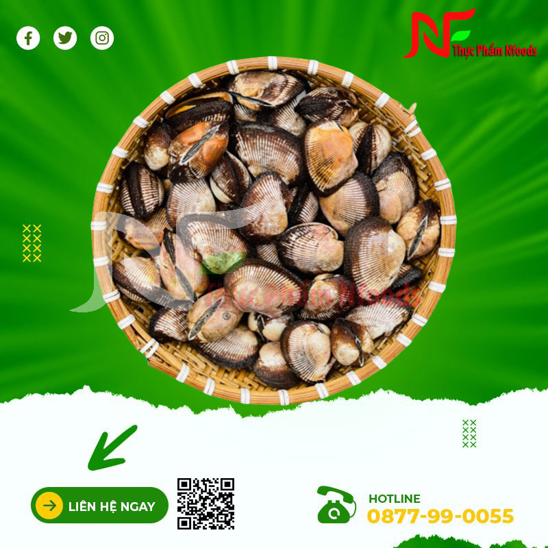 Sò lông