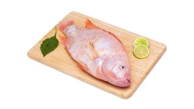 Bảng báo Giá cá diêu hồng đơn giá và giá sỉ cập nhật 25/03/2024