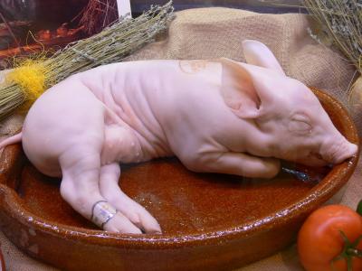 giá heo sữa đông lạnh