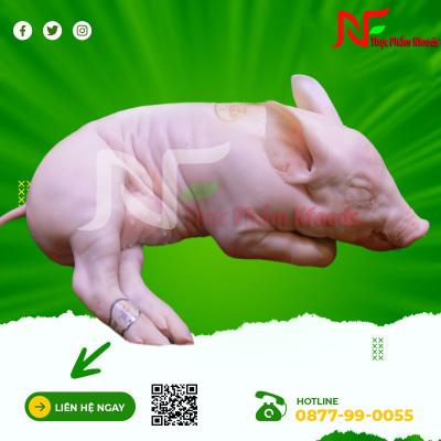 heo sữa đông lạnh