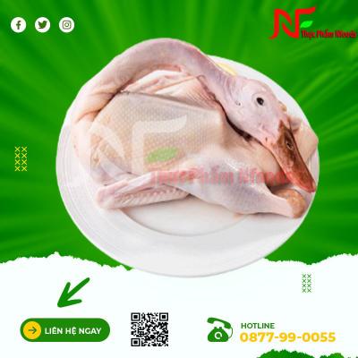 Vịt trời