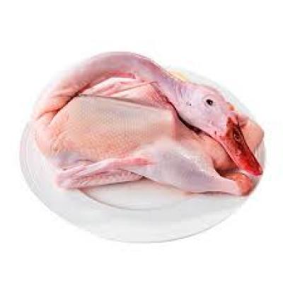 VỊT XIÊM GIÁ SỈ – LỰA CHỌN KINH TẾ CHO ĐỐI TÁC, GIAO HÀNG TOÀN QUỐC 