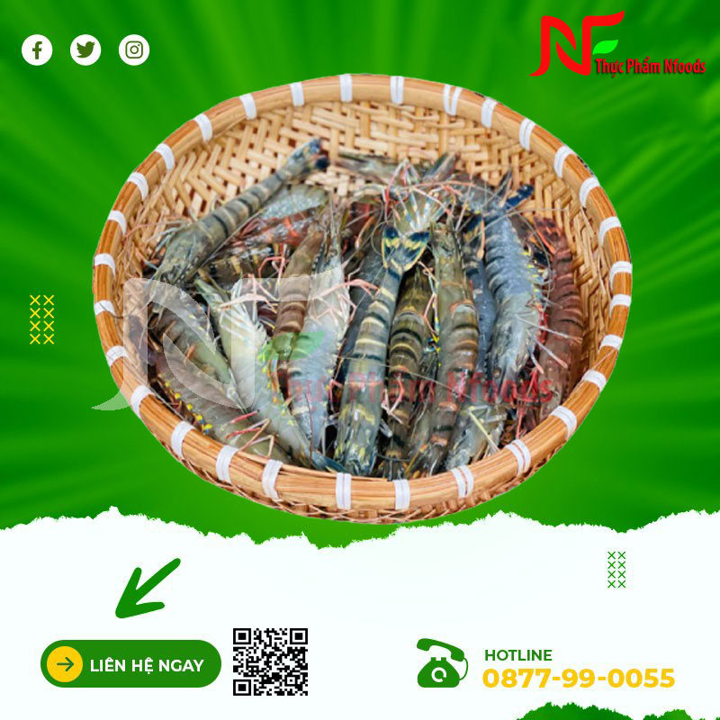 Tôm Sú Sống