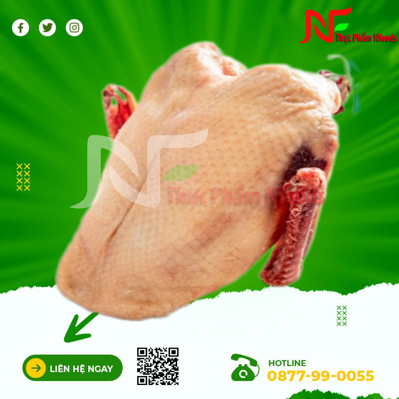 Ức Vịt Giá Sỉ